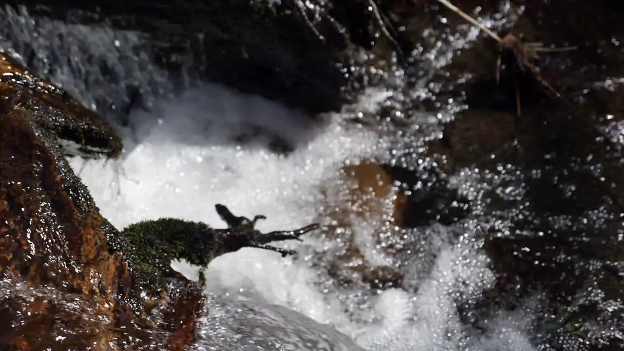 Great slow motion shot of water flowing in clear mountain stream