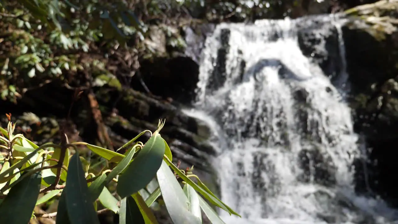 Wide shot of waterfall with rhododendron in foreground shot in slow motion at 180 fps