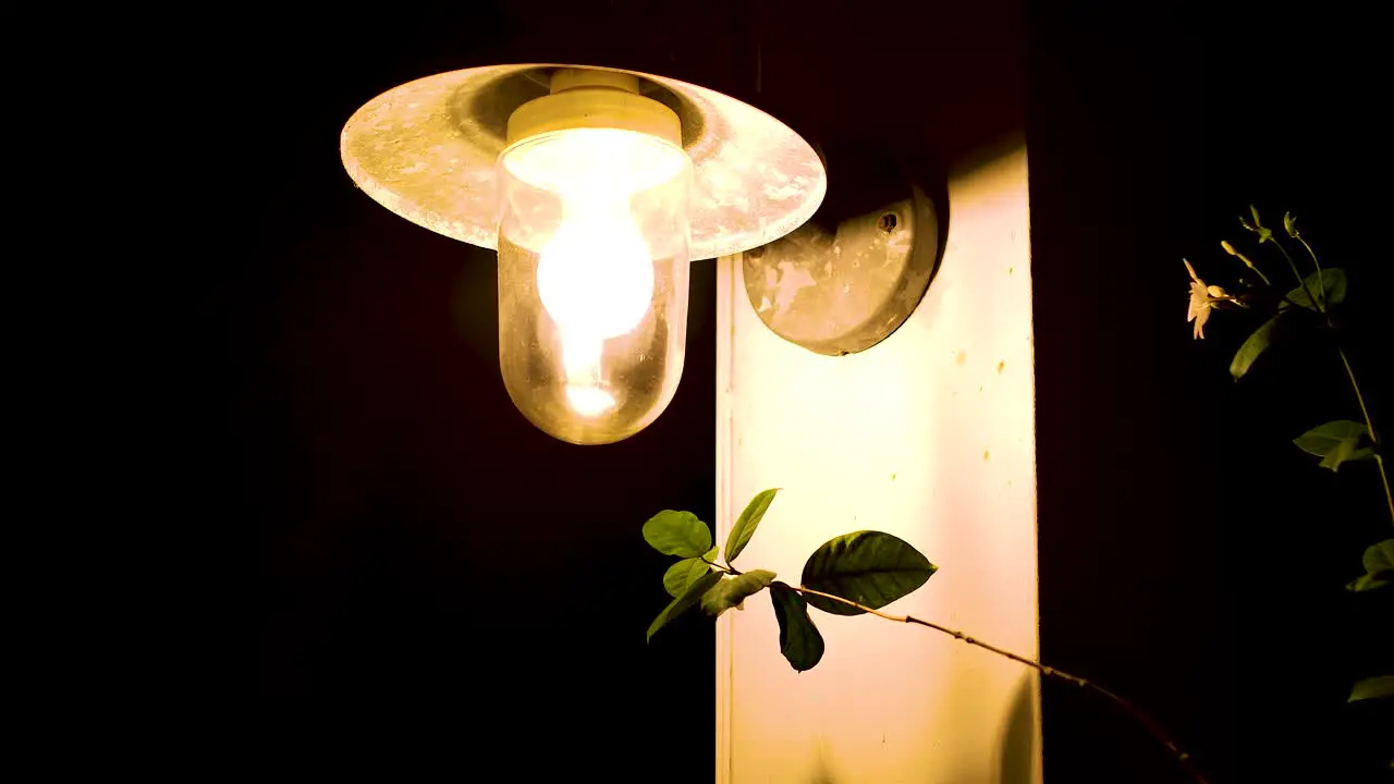 4k 24fps tilt down of lantern style lamp with warm light bulb during nighttime foliage on side