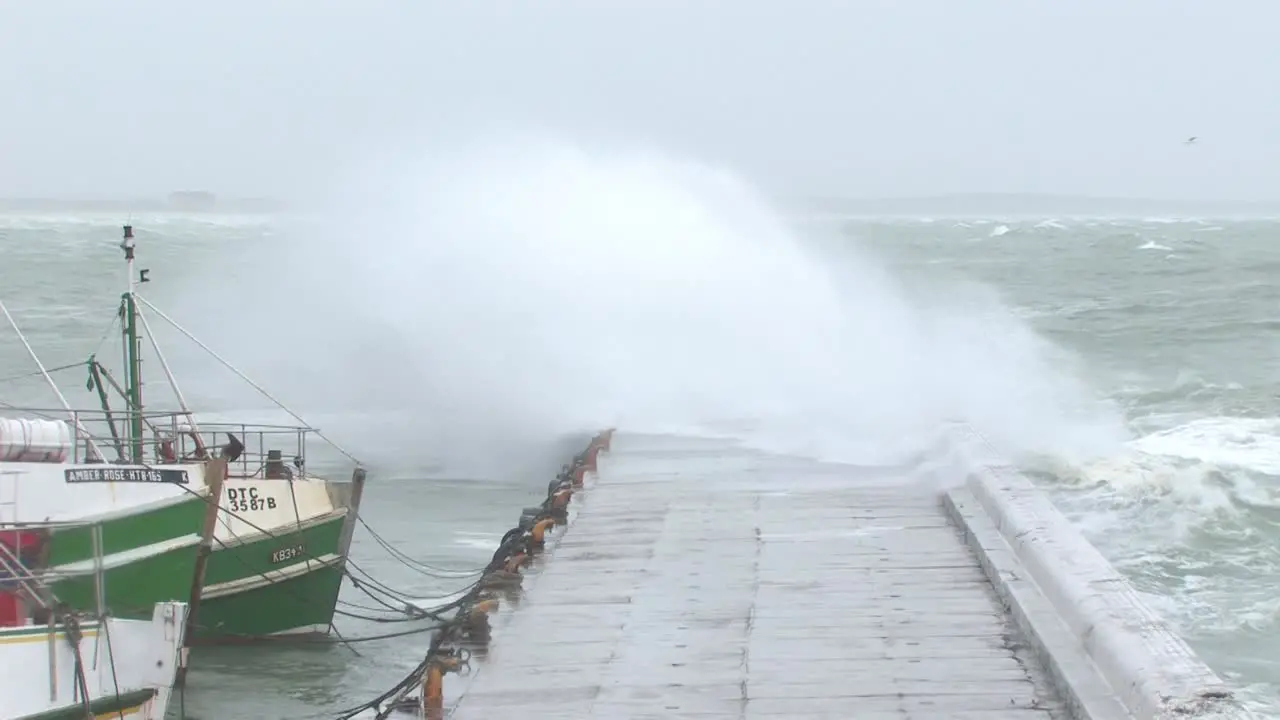 Harbour during winter storm with birds