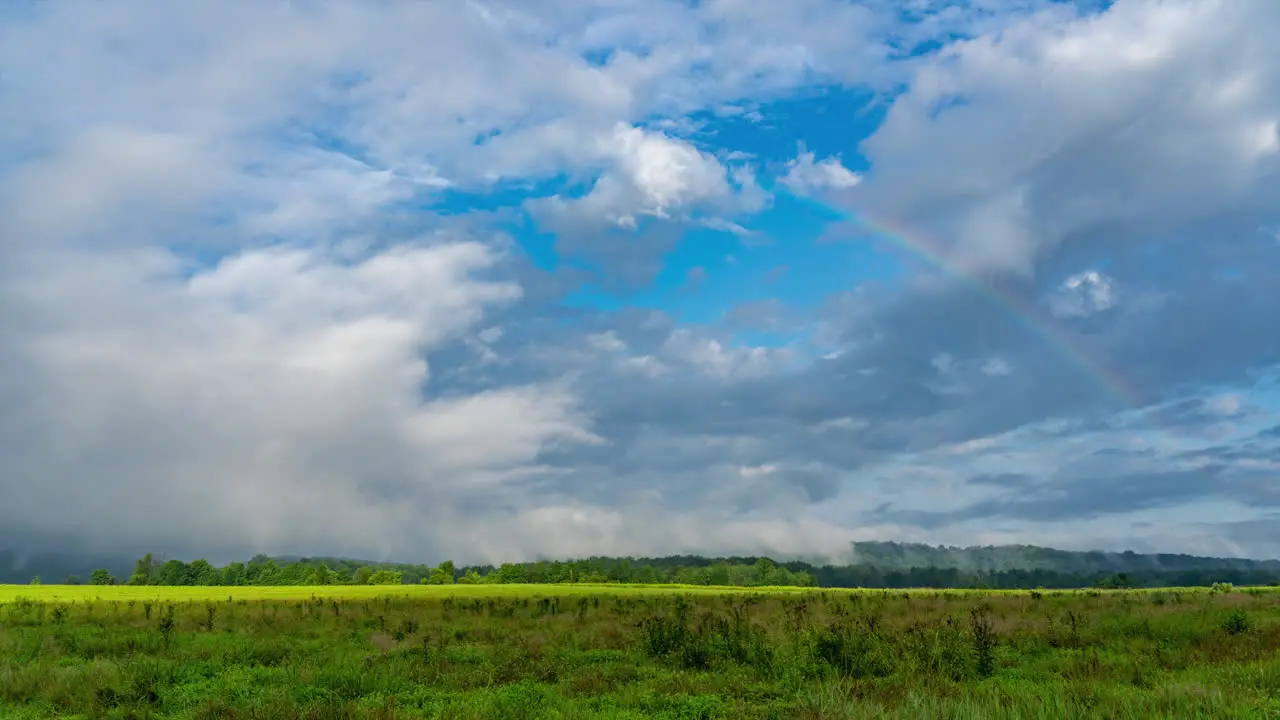 A rainbow and storm clouds over the marshy wilderness