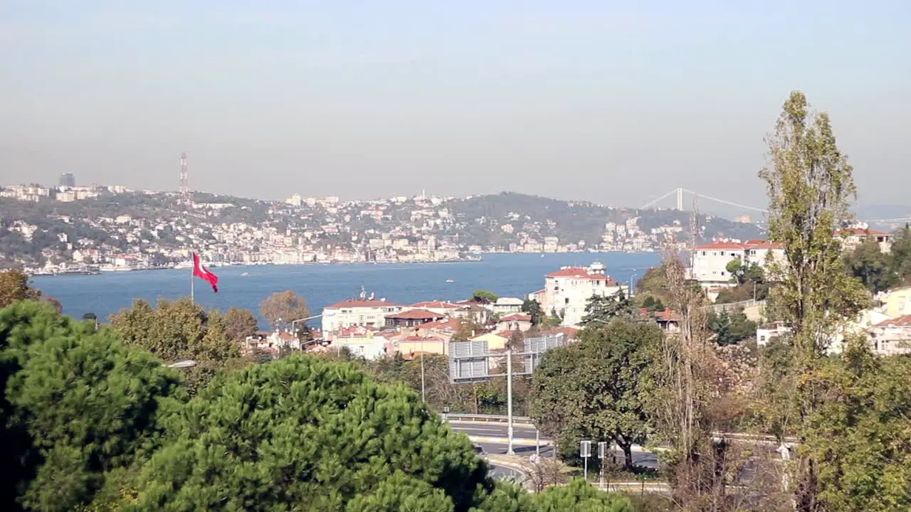 Tree In Front Of The City And The Sea In Istanbul