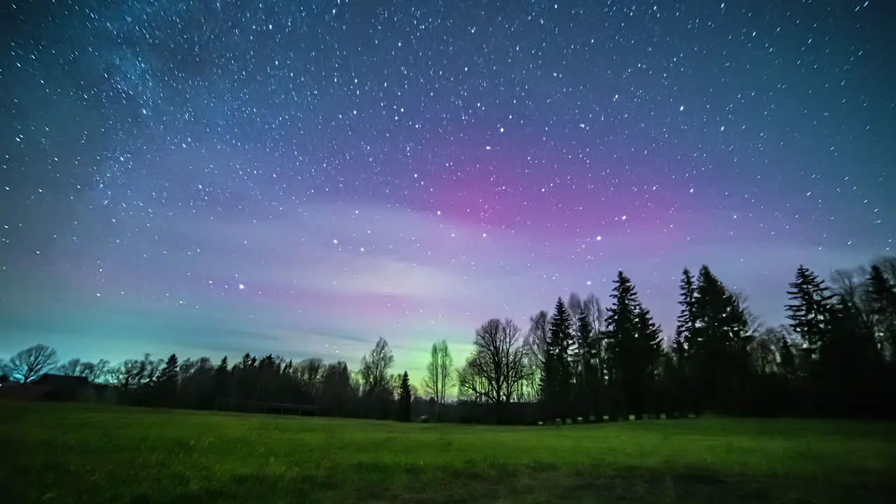 Colorful Aurora Borealis At Starry Night Sky With Silhouetted Trees In The Forest