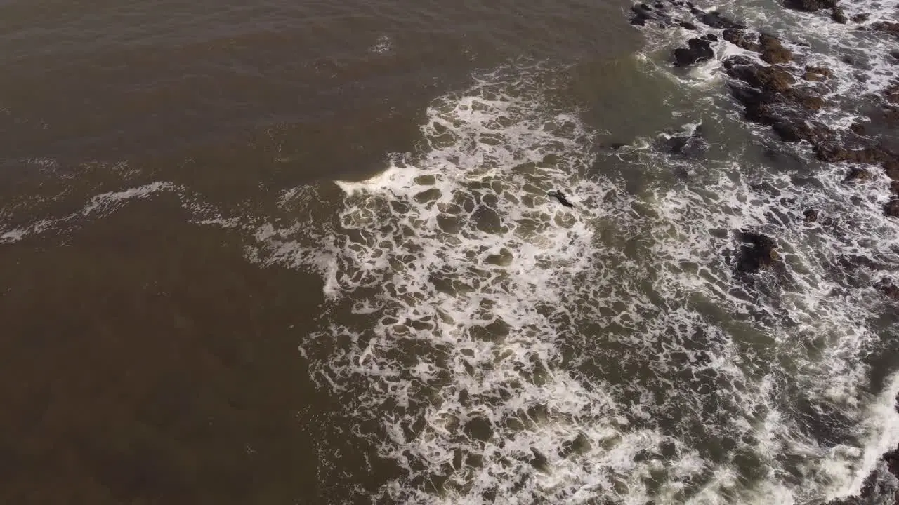 Drone shot of professional surfer entering cold water of Sea for surfing 4K