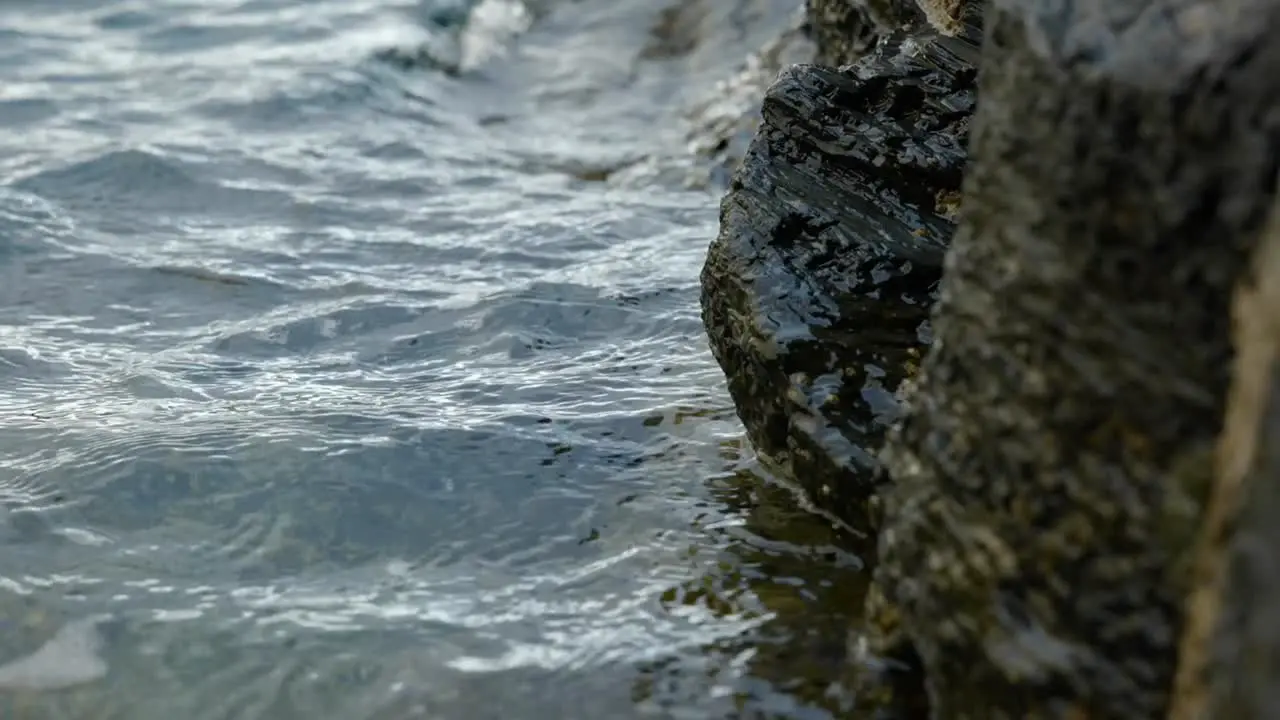 Slow Motion Of Sea Waves On Mossy Rocks In Summertime