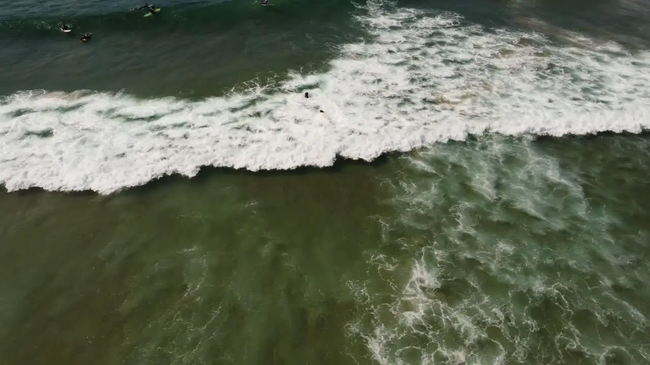 Man surfing waves in the beach aerial view