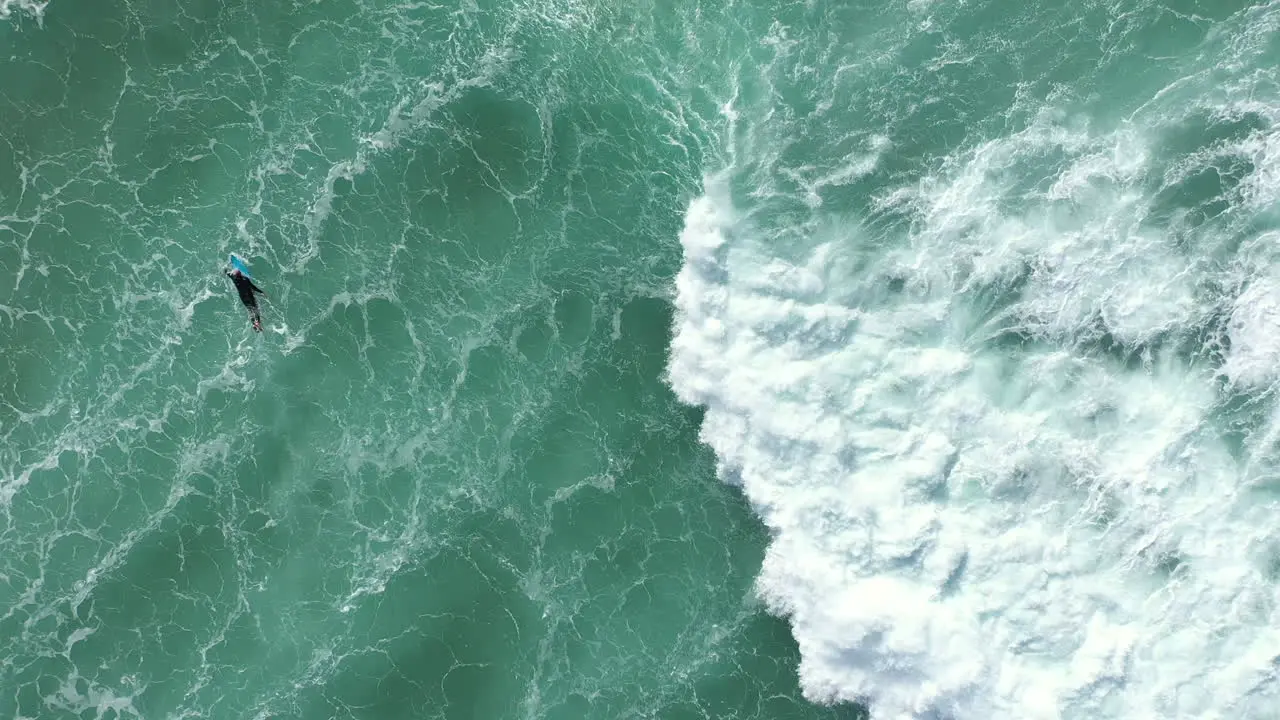 4k Aerial top view shot of a surfer paddling out to the deep ocean water with his surfboard in Australia