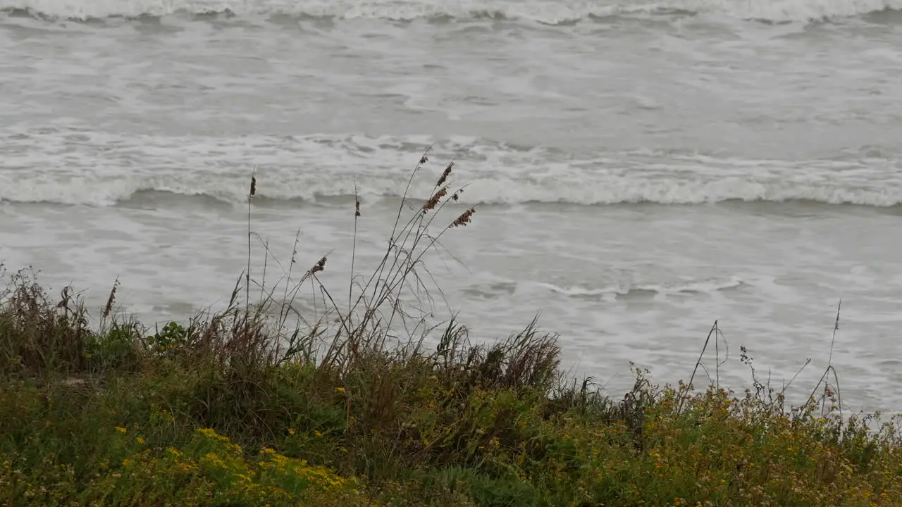 Texas Gulf Coast Grass And Waves