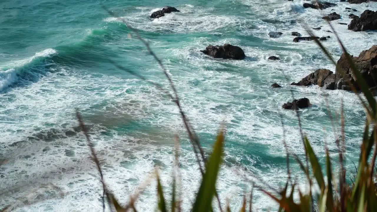 Ocean waves crash through wind-blown grass in a mesmerizing coastal dance