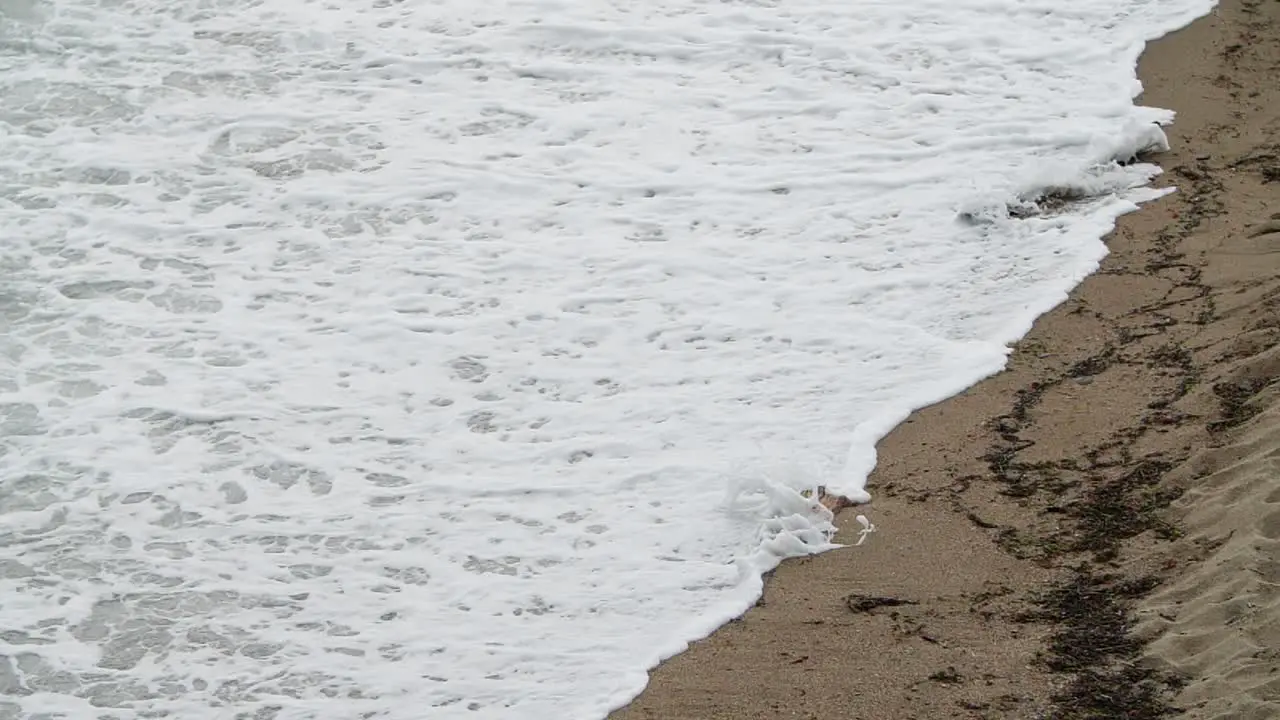 Wife foam covering almost all of the beach