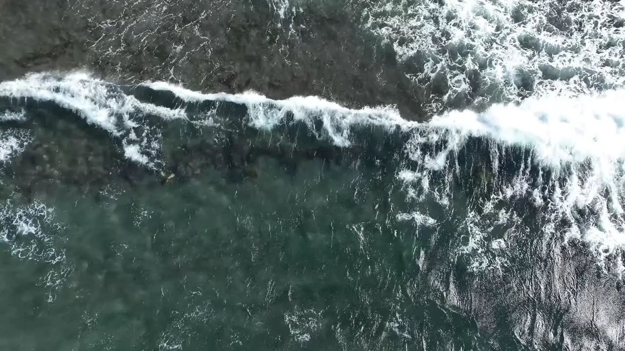 Green sea turtles in Maui Hawaii Aerial view