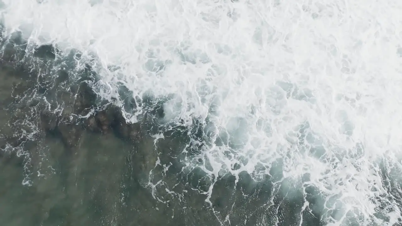 Violent waves crashing over green sea turtles grazing along the shallow reefs of Maui