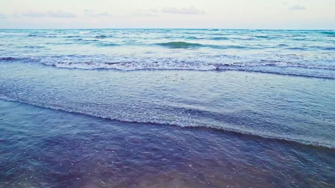 White Sandy Beach Covered In Red Sargassum Seaweed Algae With Small Waves Breaking On Shore