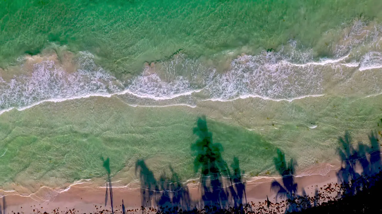 Downward angle drone shot rising on clear ocean waters with waves crashing