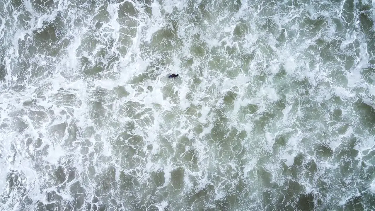 Aerial top down view of surfer waiting on surf board for the perfect wave