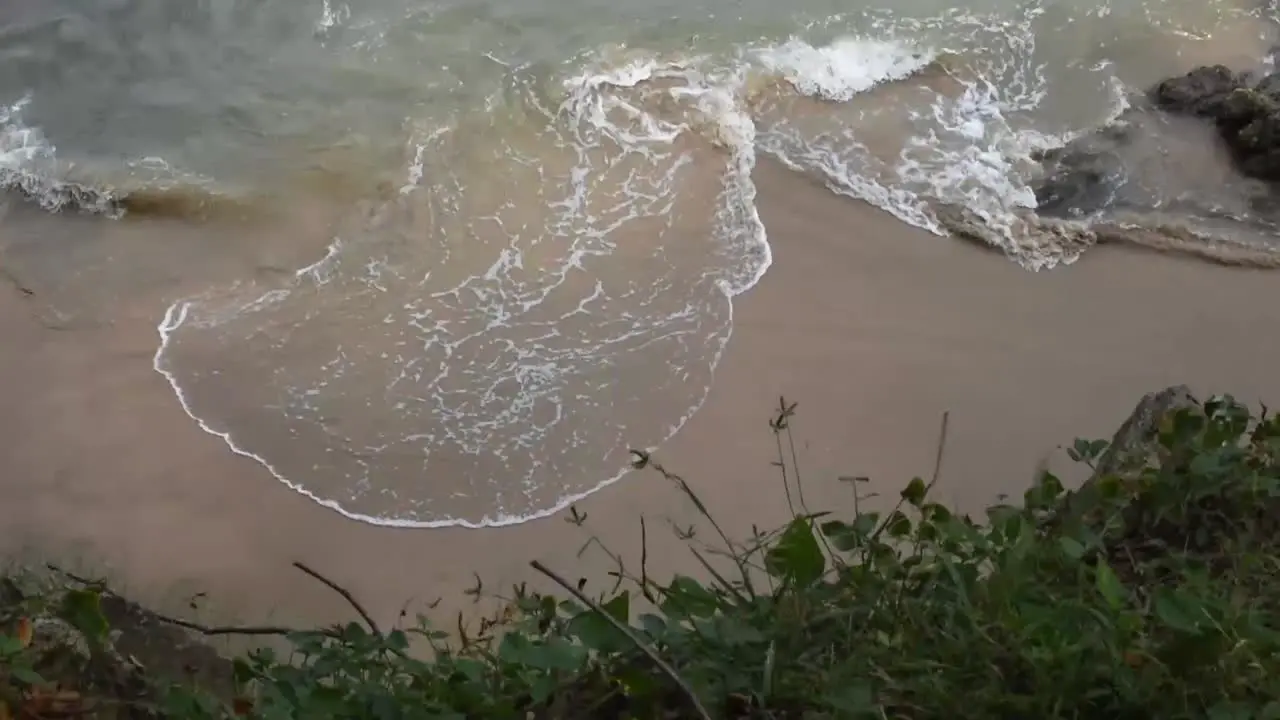 tilt down-view of the sea from a tree following the sea and ending in the floor