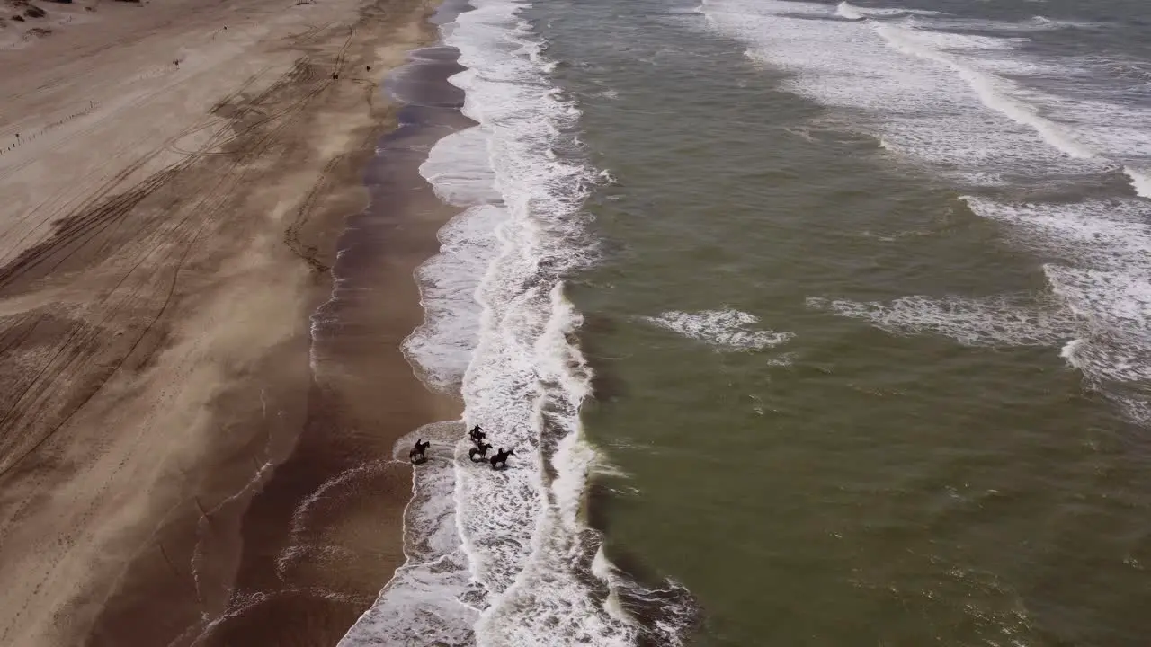 Aerial drone view of the four horses on the beach sand on a mild evening at Mar de las Pampas Argentina