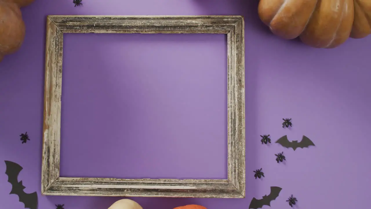 Video of frame with copy space halloween decorations and pumpkins on purple background