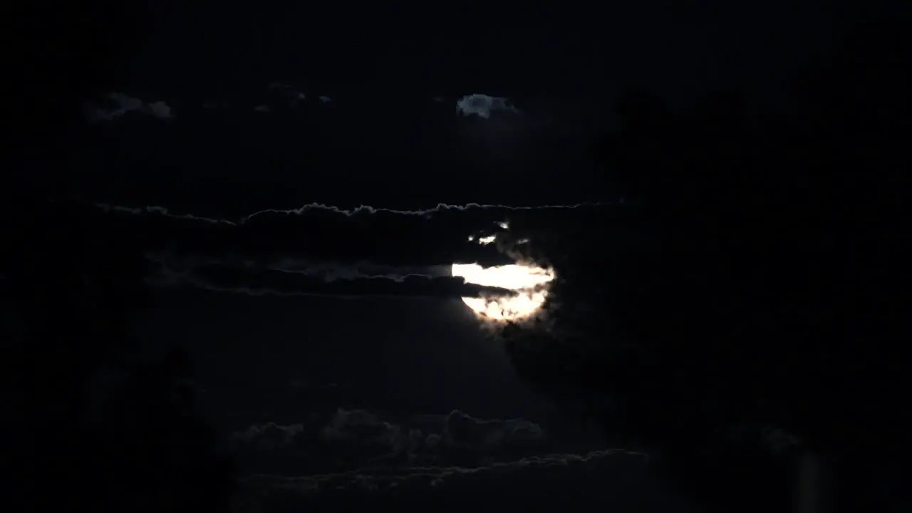 A bright full blue moon behind trees and the clouded sky at night