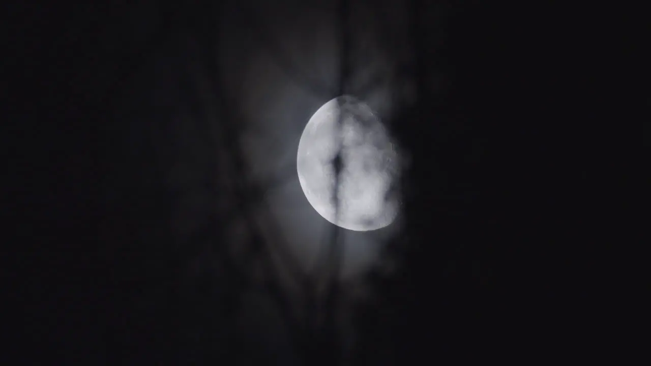 Glowing moon crossing dark sky through Tree branches blurred silhouette Telephoto shot