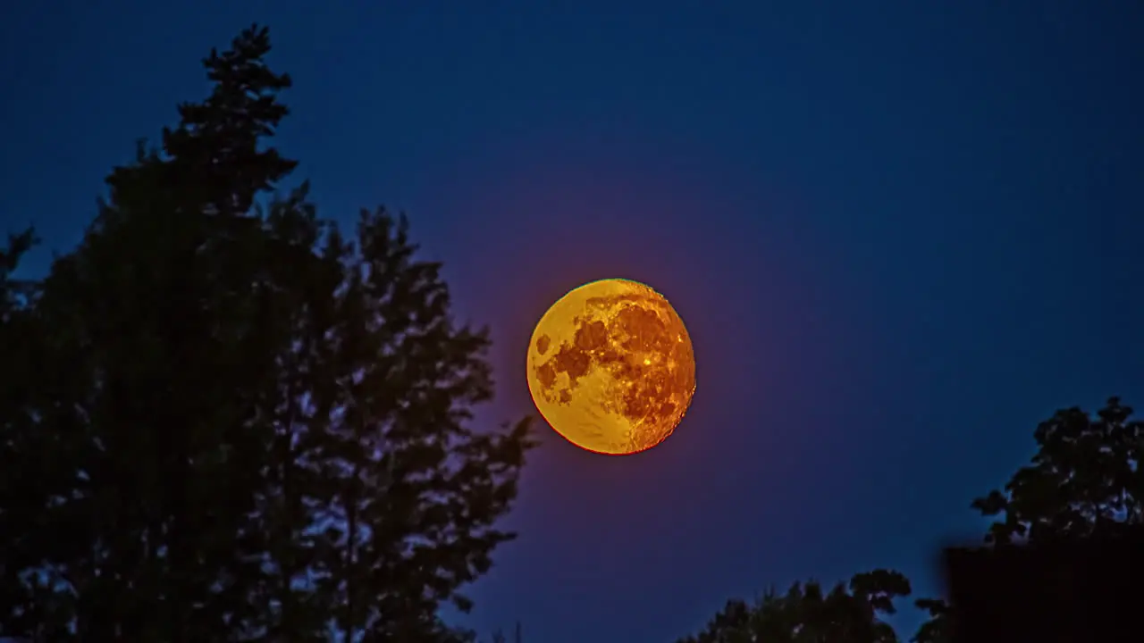 Low angle shot of red moon rising in the background in timelapse over blue sky with trees in the foreground along rural countryside at night time