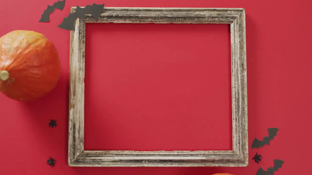 Video of frame with copy space halloween decorations and pumpkin on red background