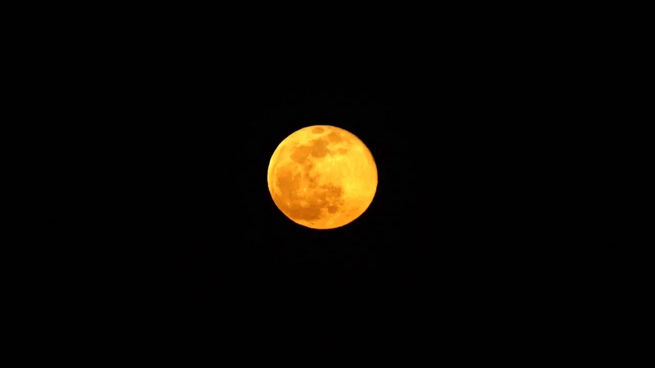 close up shot of Yellow moon going up in the sky at night