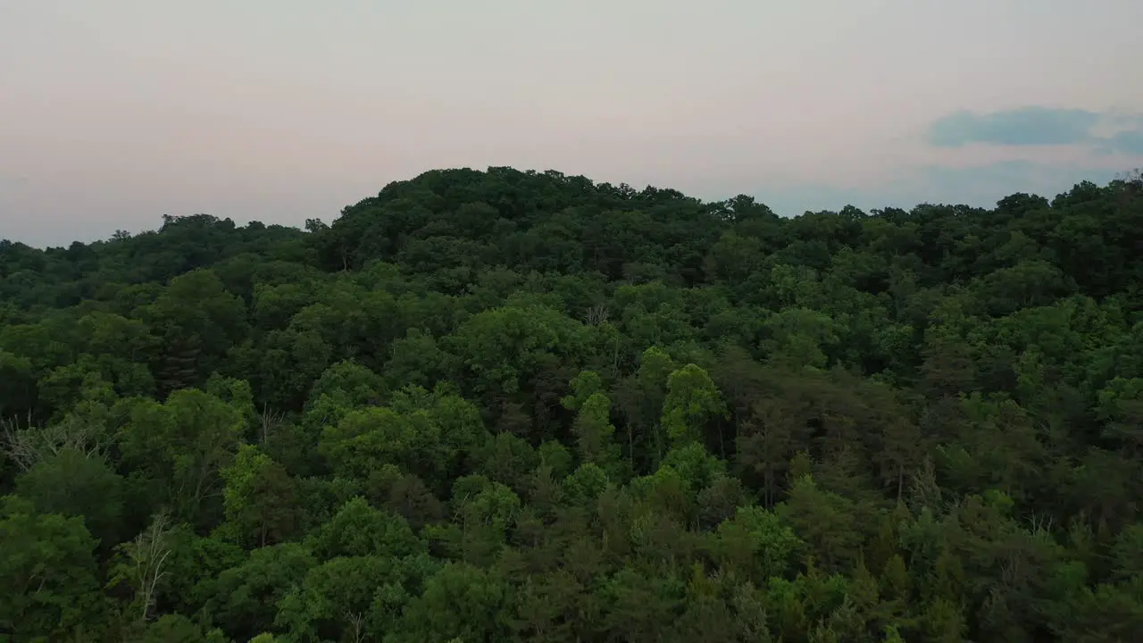 Blood Moon over Oak Ridge Tennessee