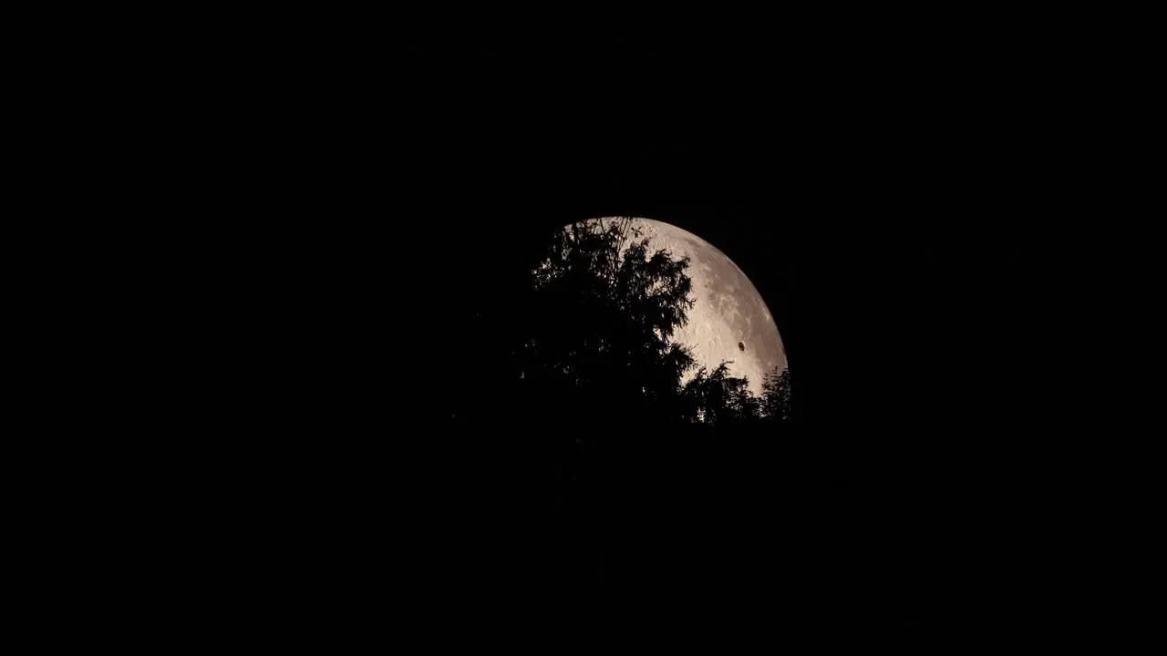 Zoom in detail on the side of the moon captured with moving tree tops close up zoom view with all the detail on the lunar landscape using Lunalon captured in 4k resolution