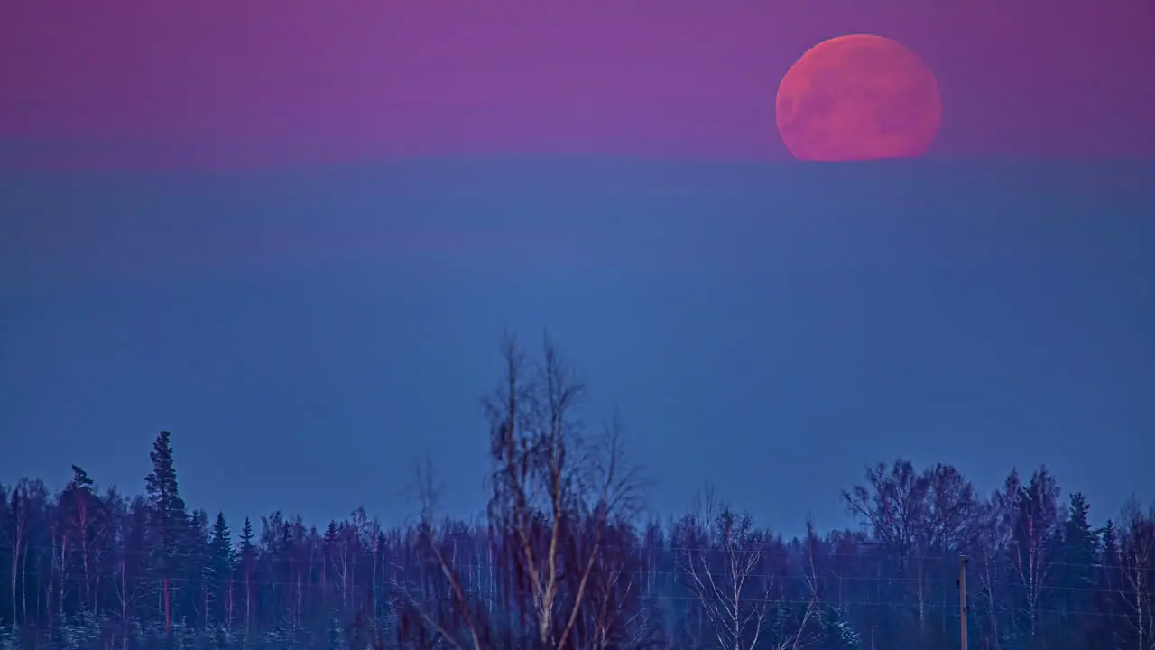 A supermoon rises through the atmospheric haze to illuminate a forest time lapse