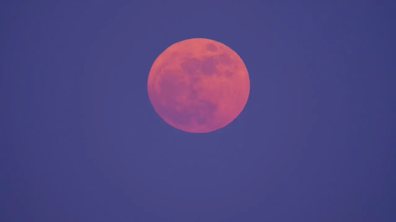 Post apocalyptic red orange pink glowing moon against purple haze sky floats up into air