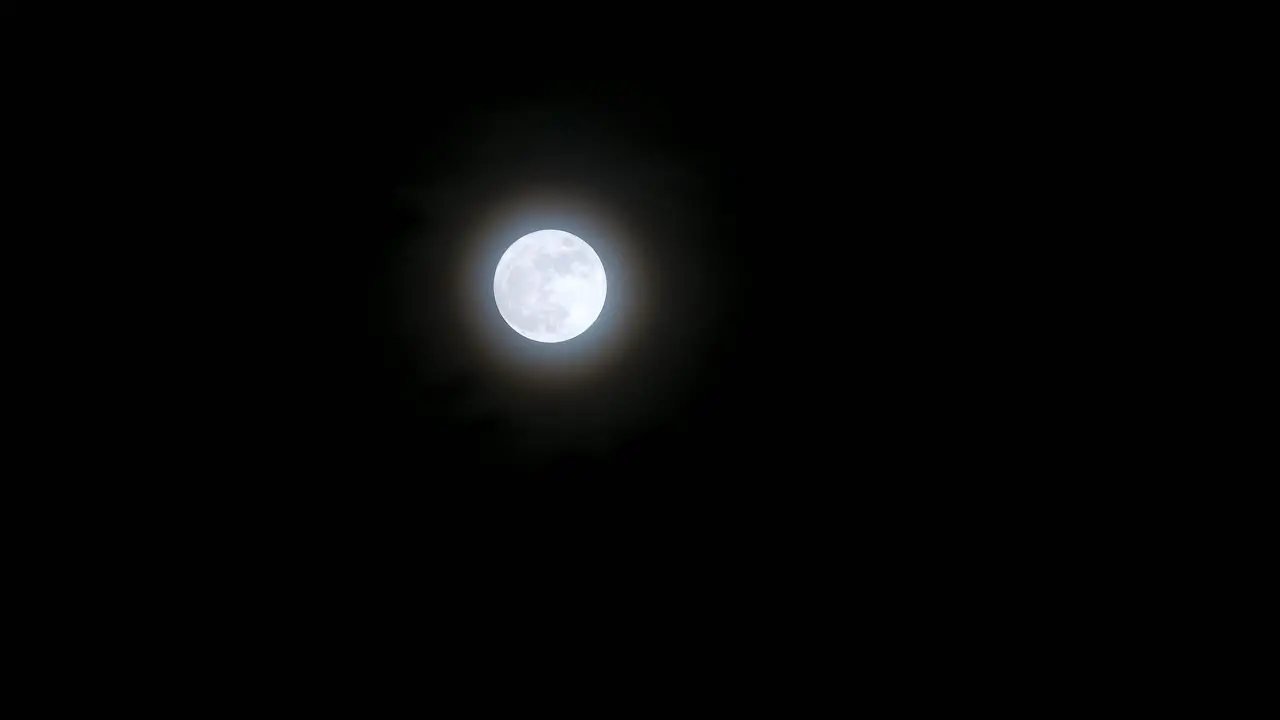 White grey glowing full blue supermoon moon in sky with shrub branches swaying in wind in foreground