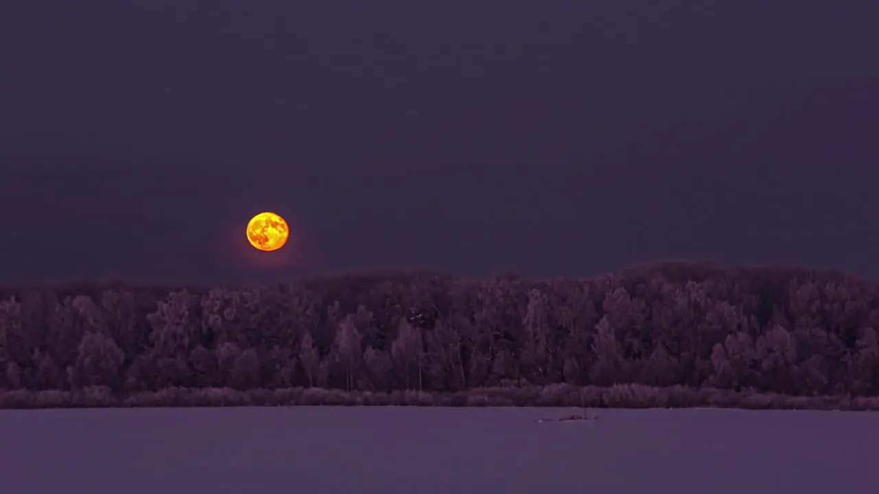 Timelapse shot of red full moon rising over white snow covered farmlands with silhouette of coniferous trees in the background at night time