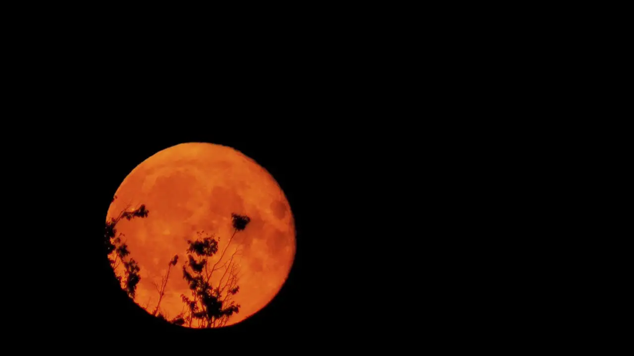 A red dramatic moon in the dark sky