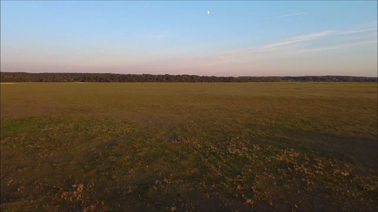 Drone flying towards trees on the hungarian big plain with the half-moon in the frame