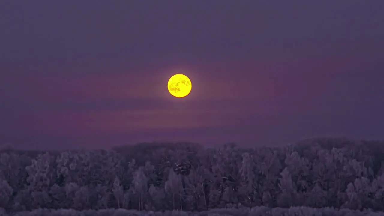 The full moon rises above the winter forest with the trees covered with snow and frost time lapse