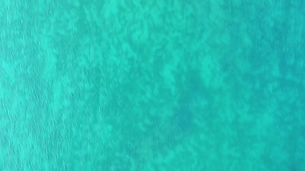 Flying drone looking from above over crystal clear turquoise water at Lake Konstanz in Germany