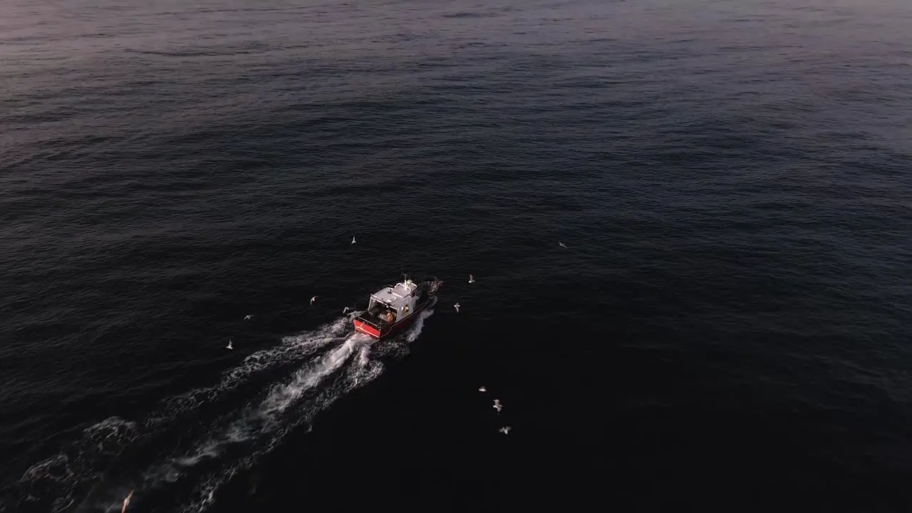 Aerial view passing above boat with birds flying around travelling across tranquil ocean waves