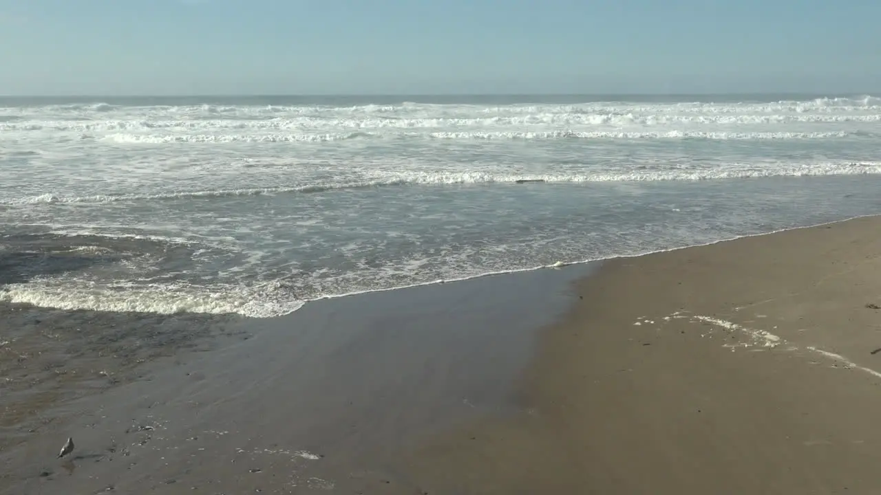 Oregon Birds Fly Over Waves