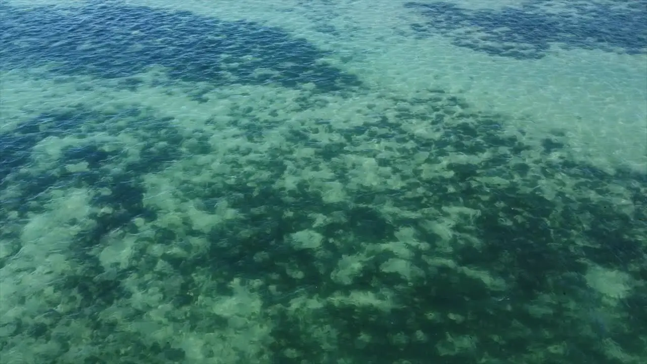 Baby Blue Brazilian Ocean by drone 4k in Maceio Brazil