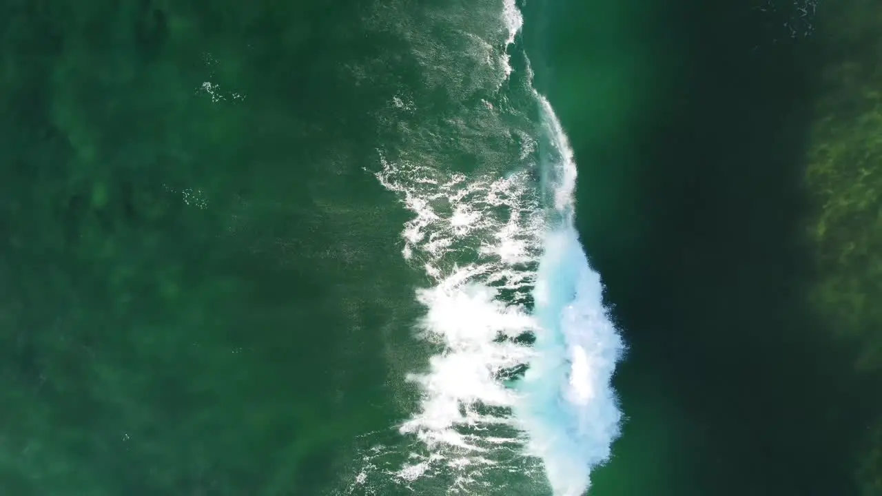 Aerial drone bird's-eye shot in paradise surfer duck dive wave on crystal clear sandbank with wave Wamberal Central Coast NSW Australia