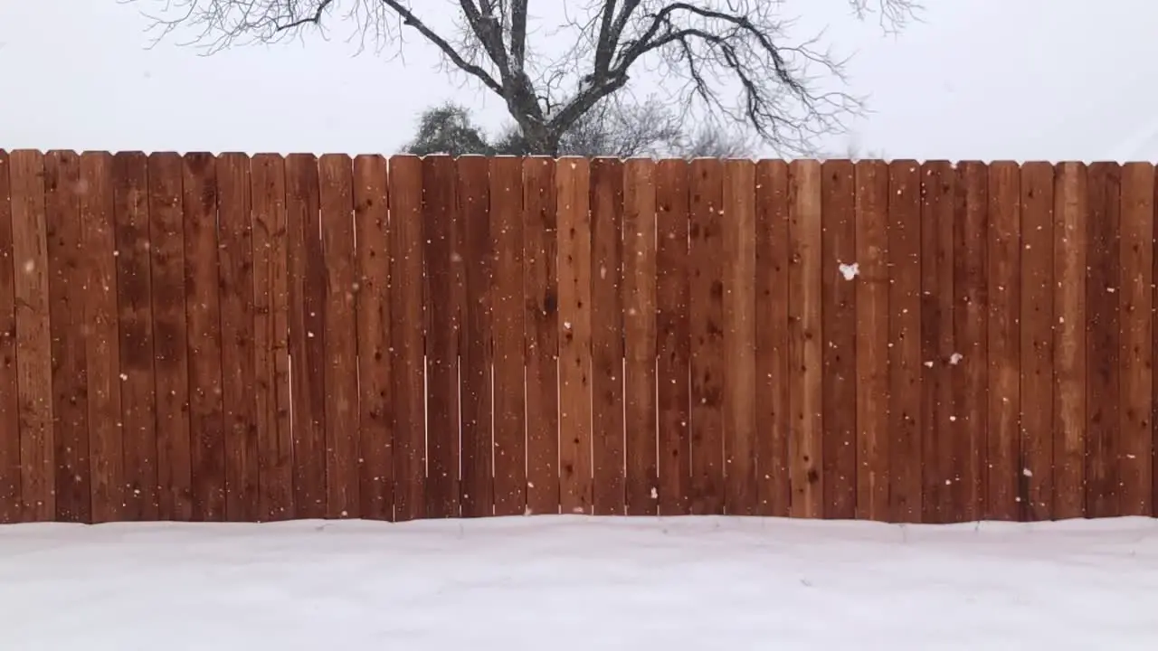 Snow falling in slow motion with a fence and pecan tree