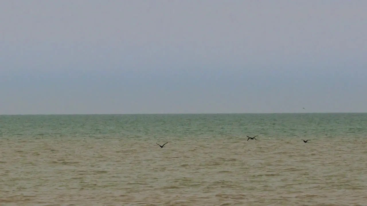 Birds flying in slow motion over enormous green blue body of water