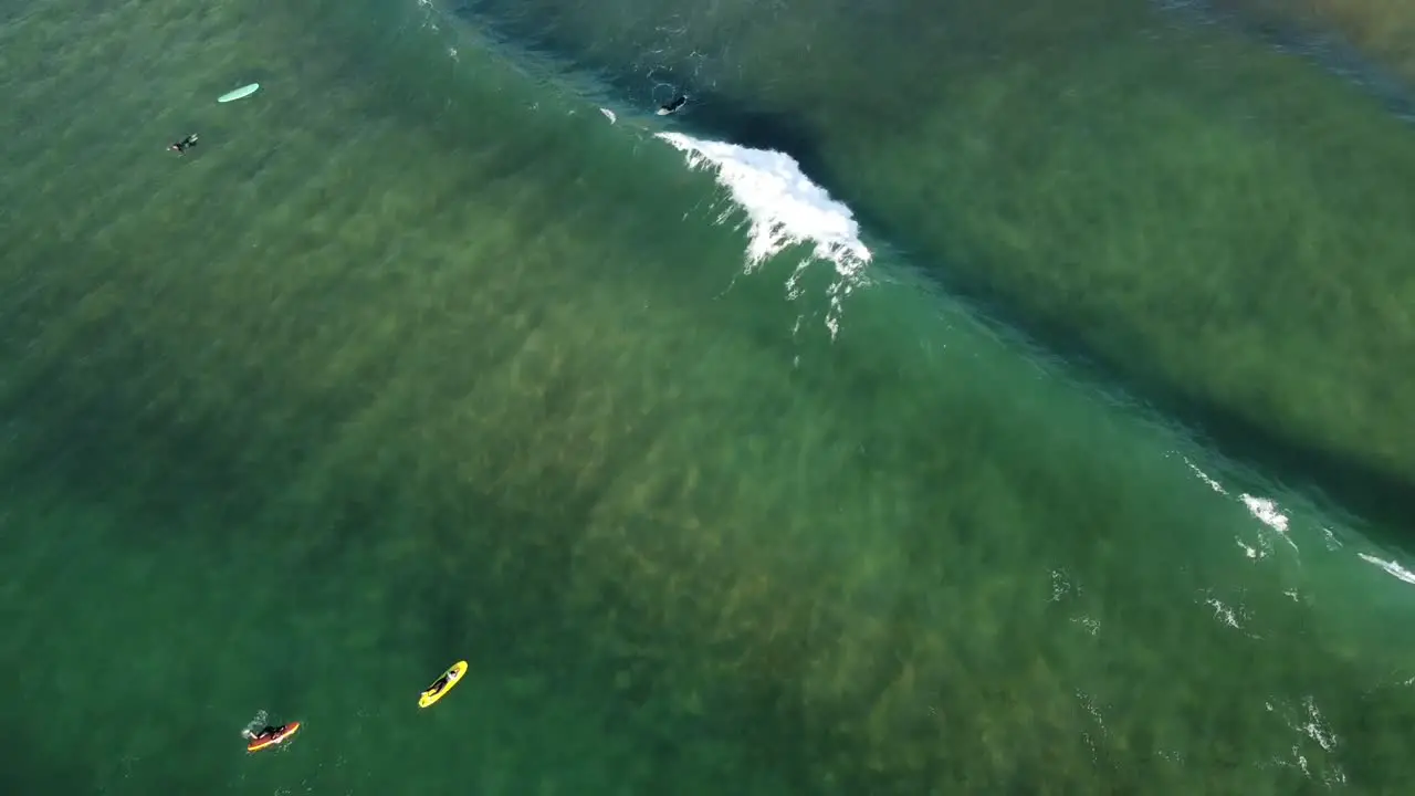 Aerial view of people practicing surf on the beach of Zarautz