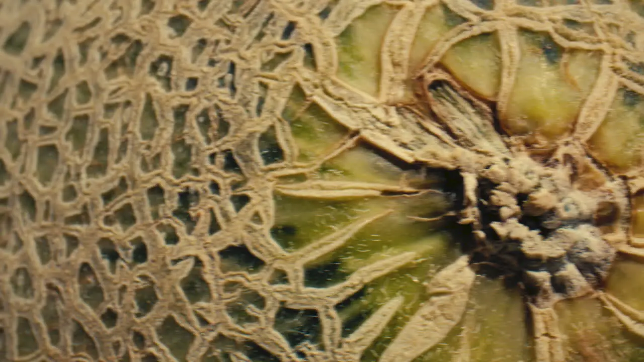 Macro close up across the skin of a whole cantaloupe fruit