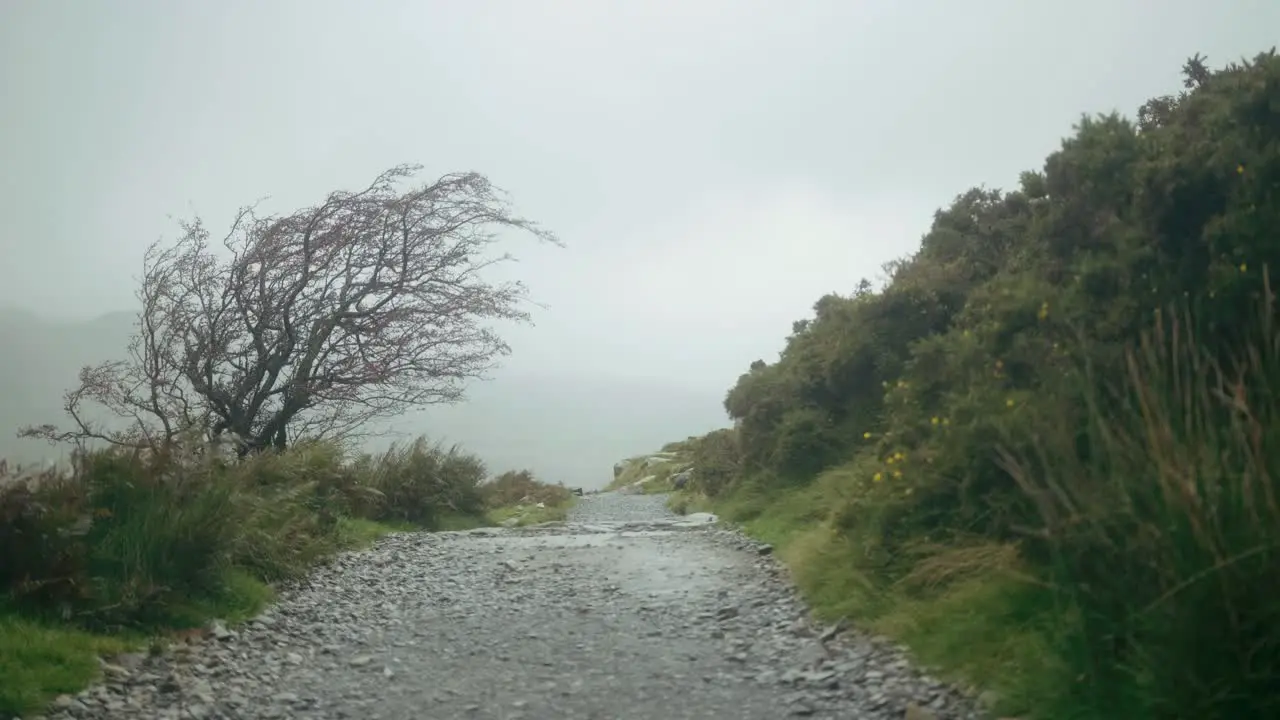 Strong wind and rain frantically toss the country landscape of Snowdonia Wales UK