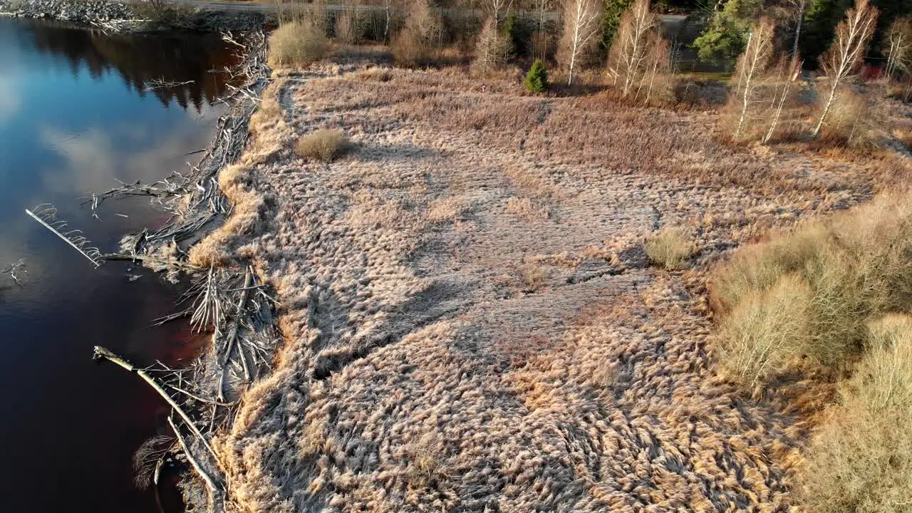 Reveal Shore With Reed and Driftwood Frozen Morning Orbit Circling Aerial