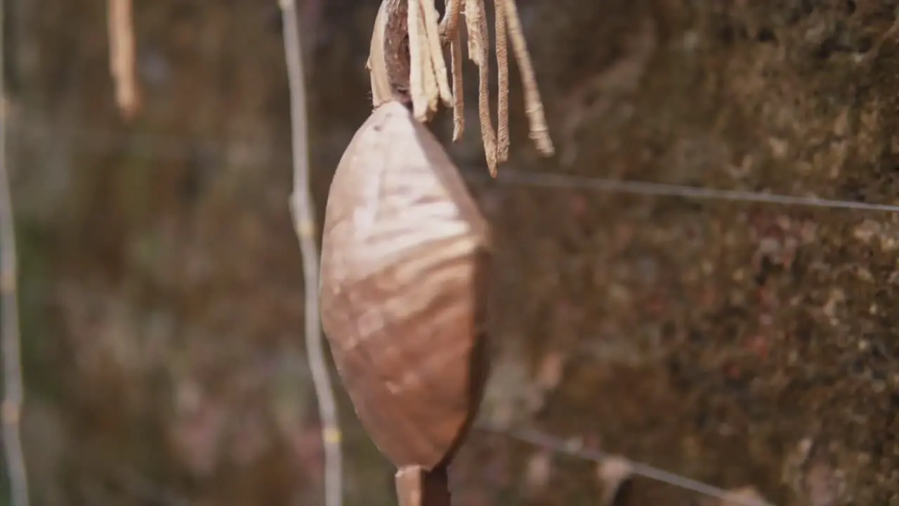 Hanging coconut fish ornament Decoration outdoors