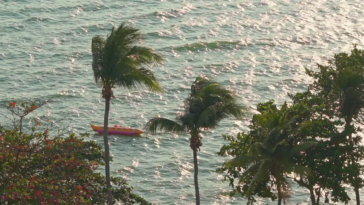 Anchored Boat by Tropical Coast Coconut Trees and Windy Sea Static Full Frame Slow Motion