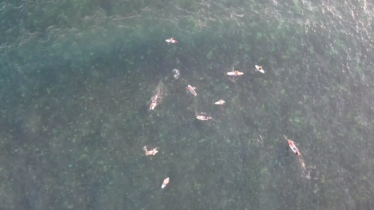 Cenital shot of surfers swimming waiting for waves at Maui Hawaii